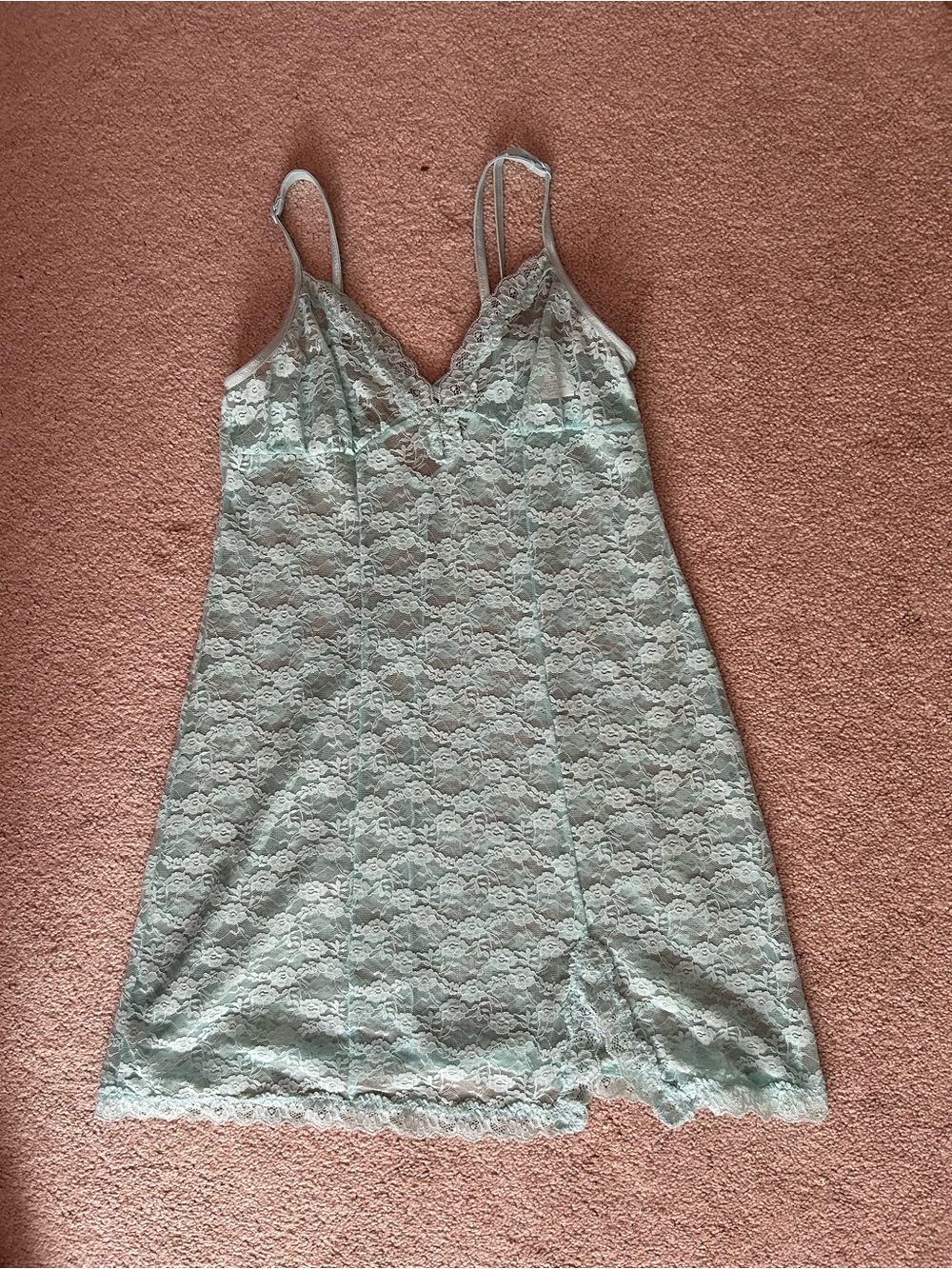 Sheer Lace Slip in Mint Green
